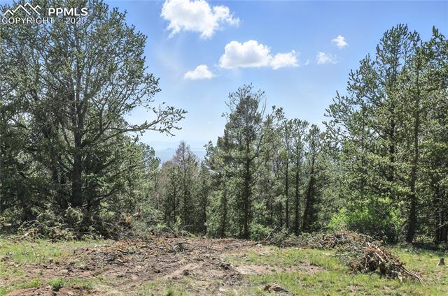396 Stratton Circle