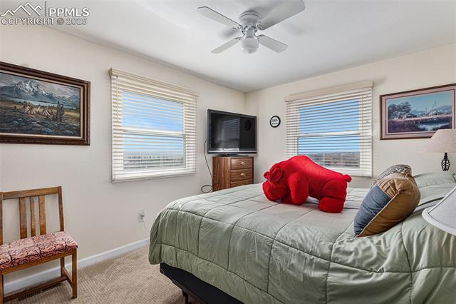16165 Wright Road