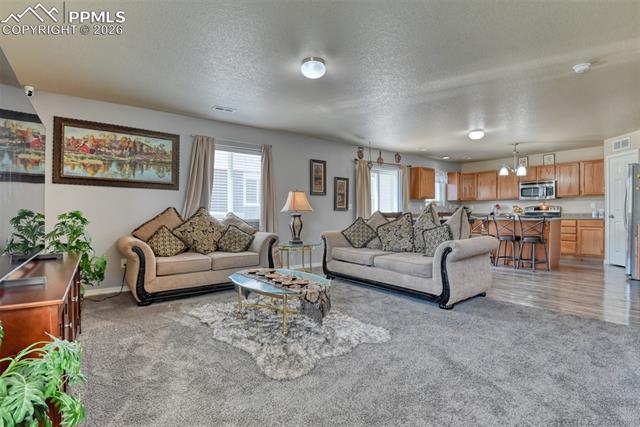 3777 Swainson Drive