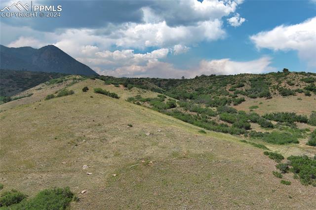 7635 Hollandale Drive