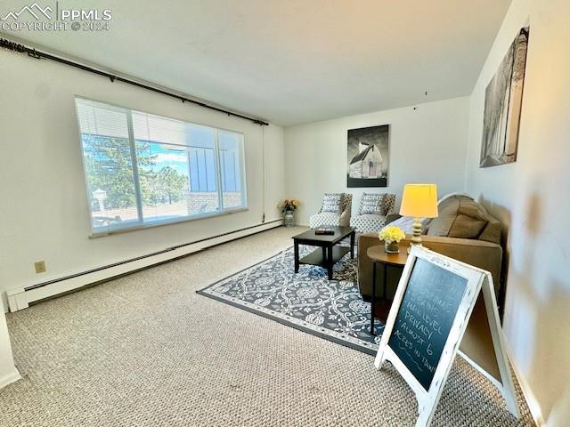 1375 Cedar Valley Lane