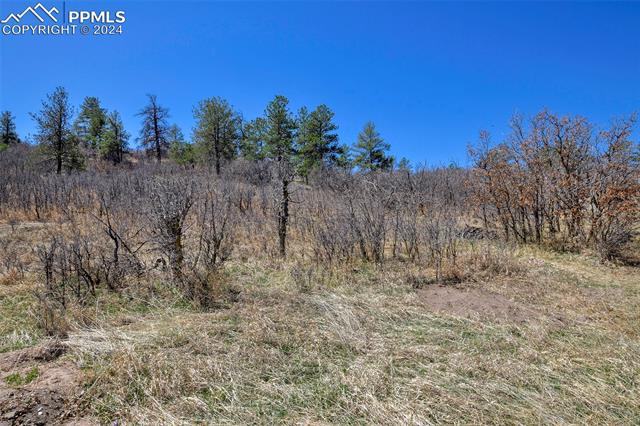 1375 Cedar Valley Lane