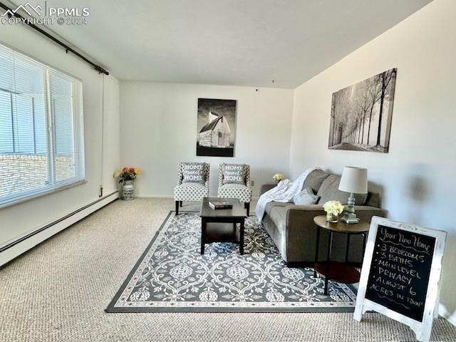 1375 Cedar Valley Lane