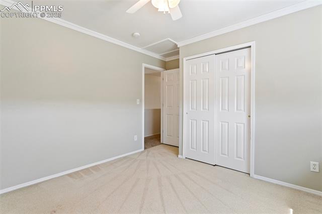 6675 Cabin Creek Drive