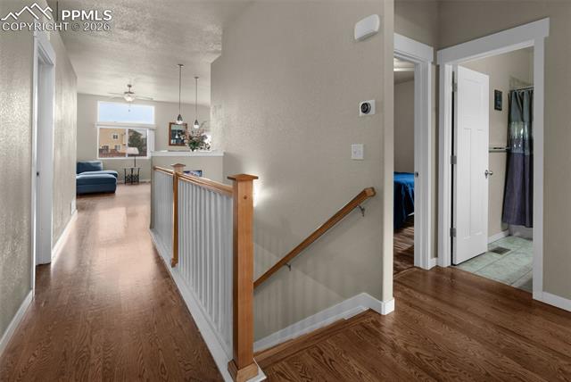 10442 Abrams Drive