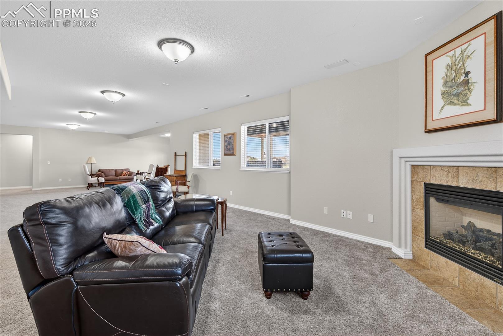 10862 Torreys Peak Way