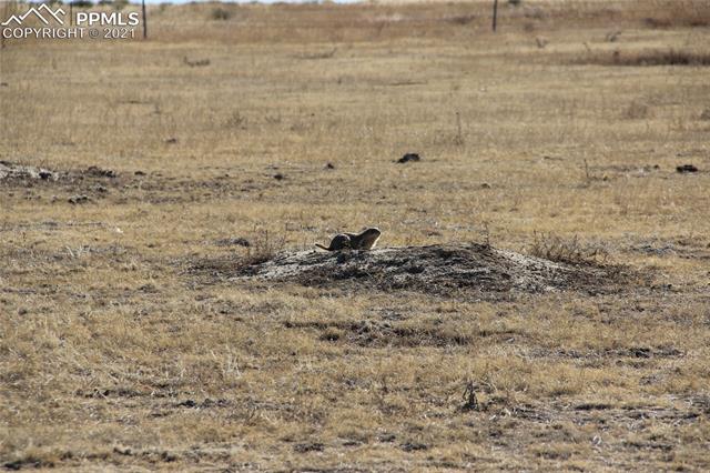 2805 S Solberg Court