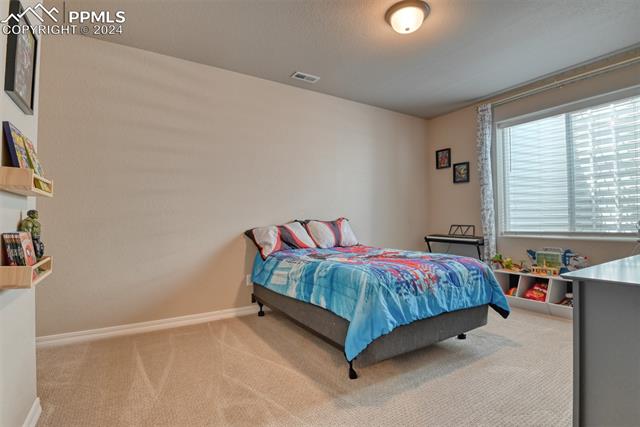 11210 Palmer Peak Place