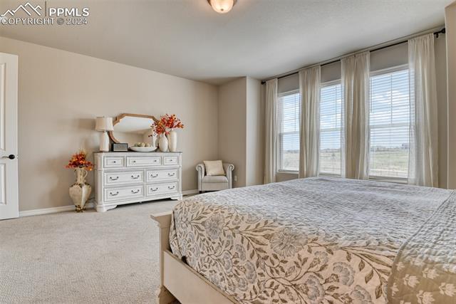 11210 Palmer Peak Place