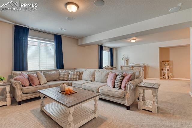 11210 Palmer Peak Place