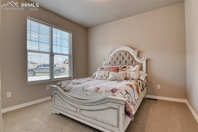 11210 Palmer Peak Place