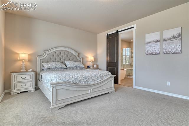 11210 Palmer Peak Place