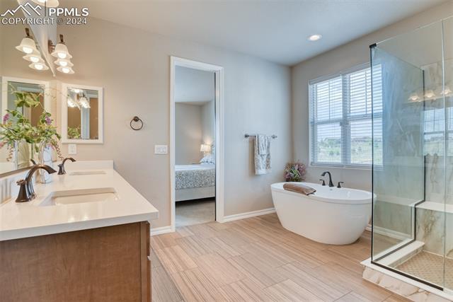 11210 Palmer Peak Place