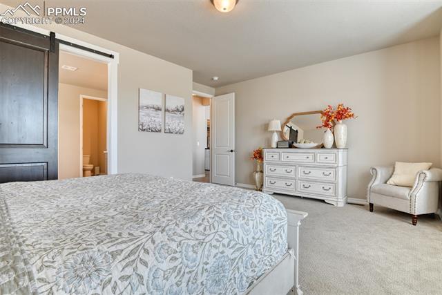 11210 Palmer Peak Place