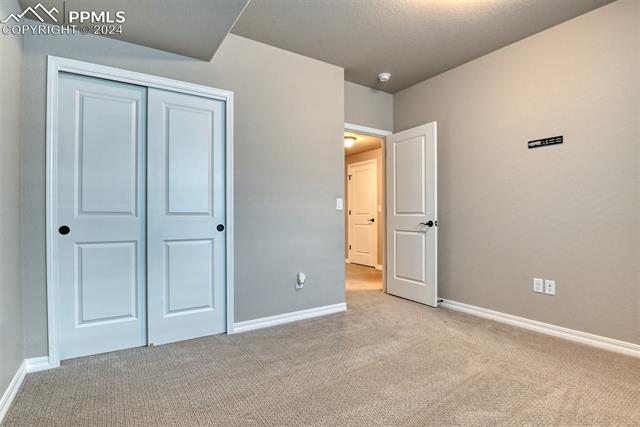 11210 Palmer Peak Place