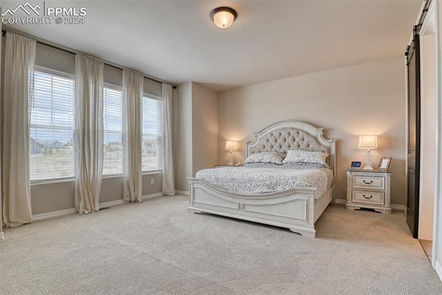 11210 Palmer Peak Place