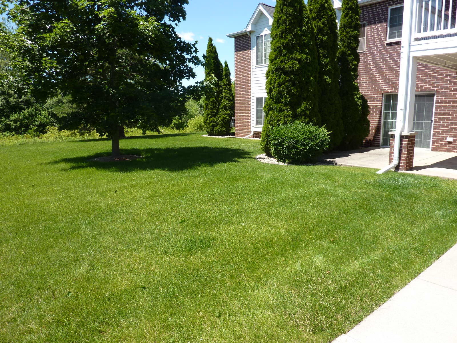 838 Boulder Trl, 201, Mount Pleasant