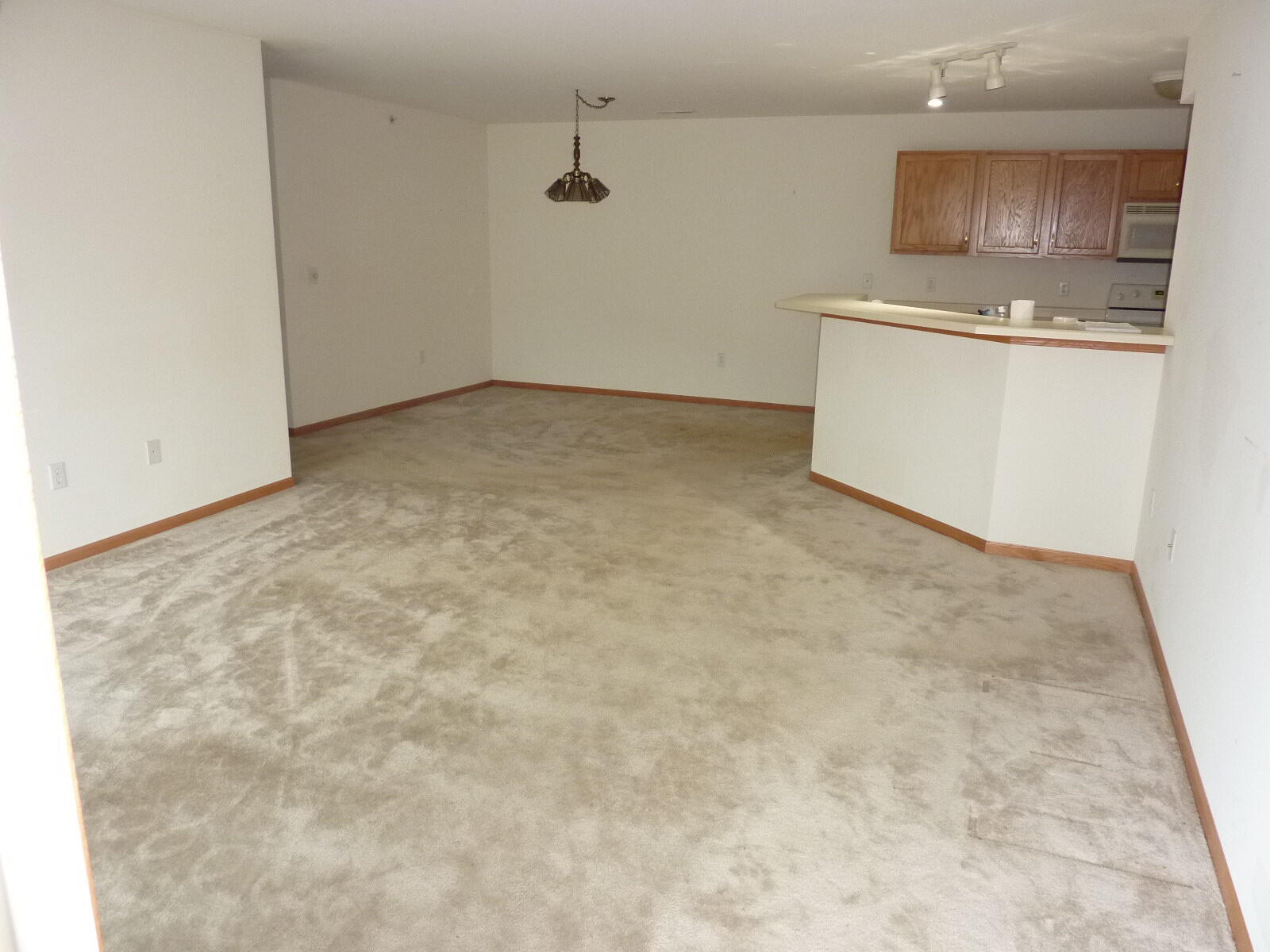 838 Boulder Trl, 201, Mount Pleasant