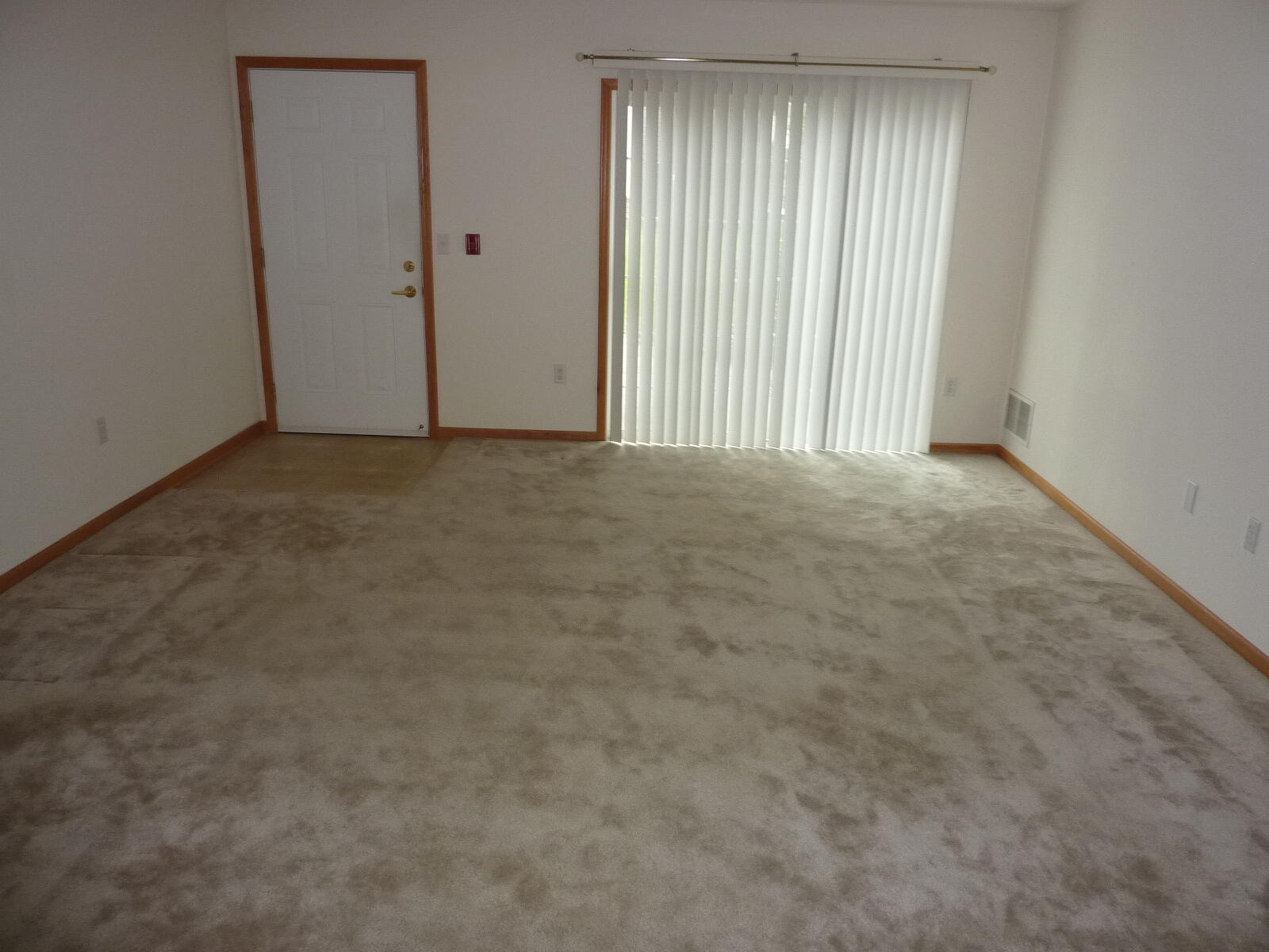 838 Boulder Trl, 201, Mount Pleasant