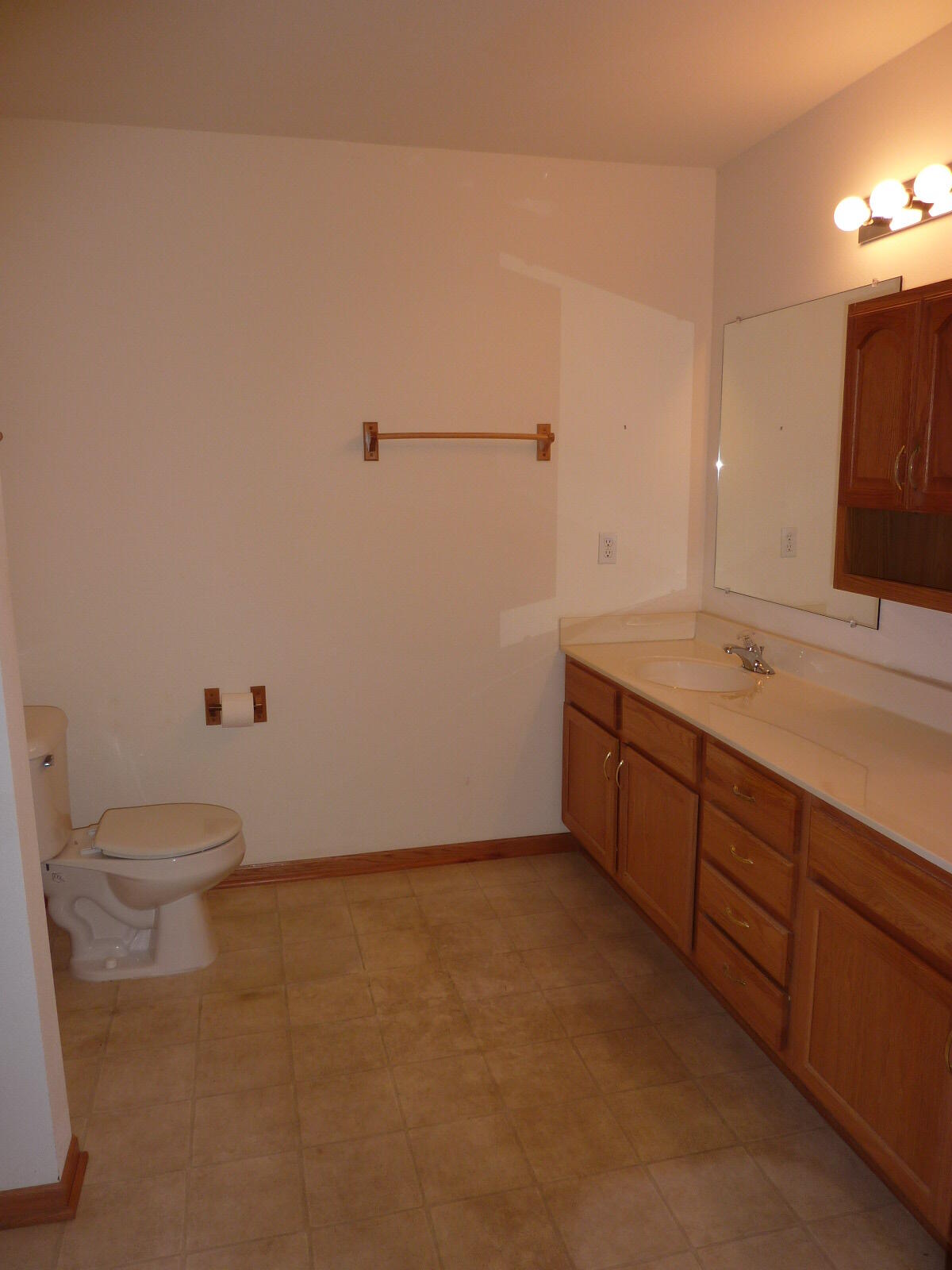 838 Boulder Trl, 201, Mount Pleasant