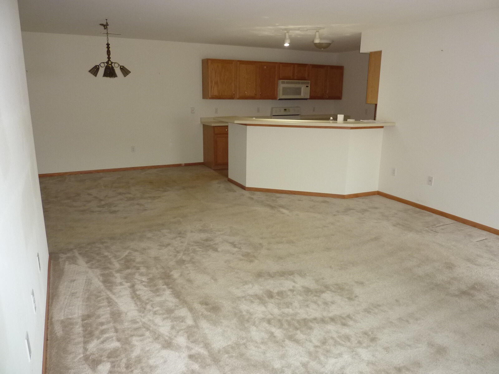 838 Boulder Trl, 201, Mount Pleasant