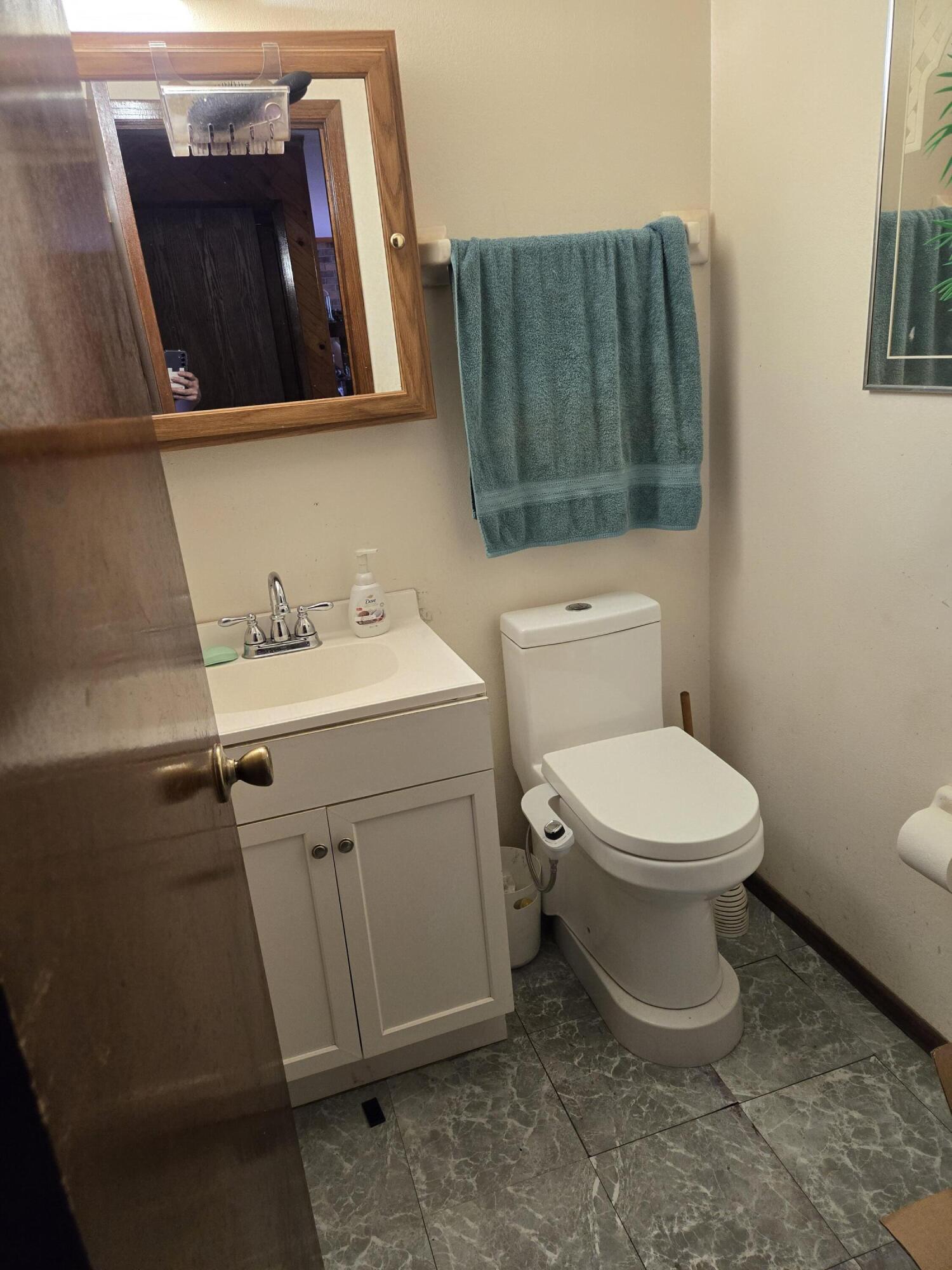 1532 Wiese Ct, Mount Pleasant