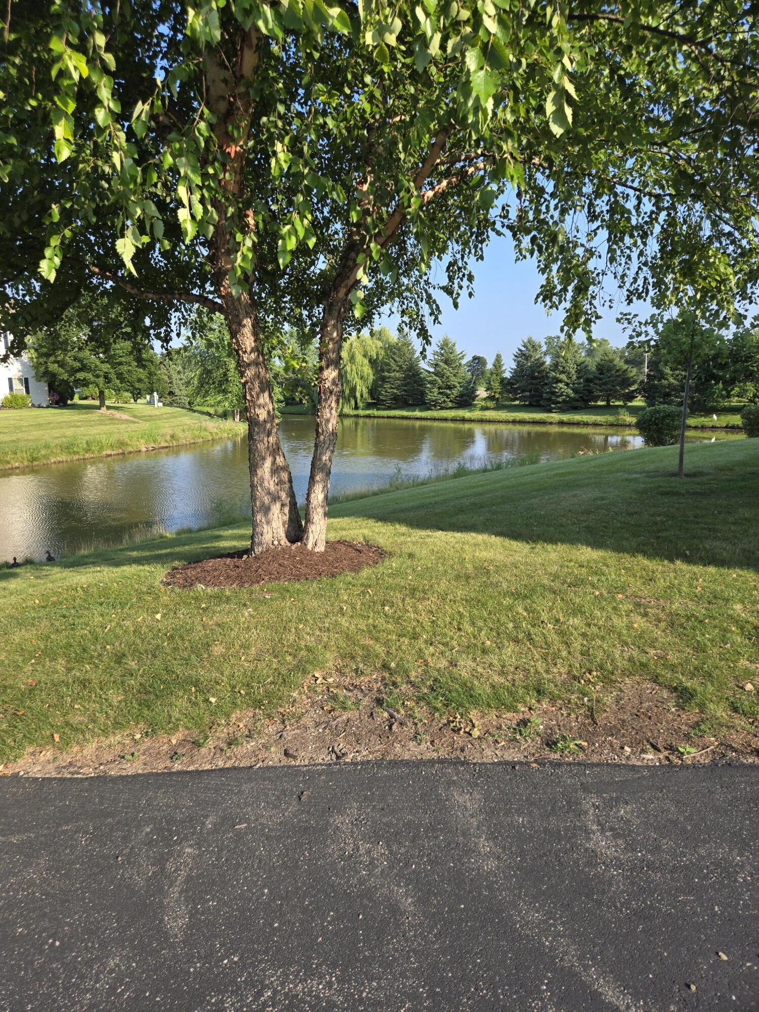 1137 Hastings Ct, 101, Mount Pleasant