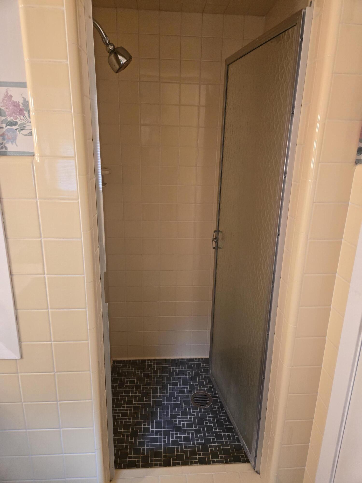 2706 Green Haze Ave, Mount Pleasant