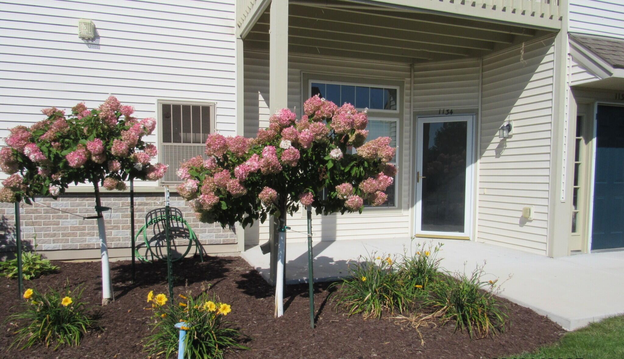 1134 Hastings Ct, 101, Mount Pleasant