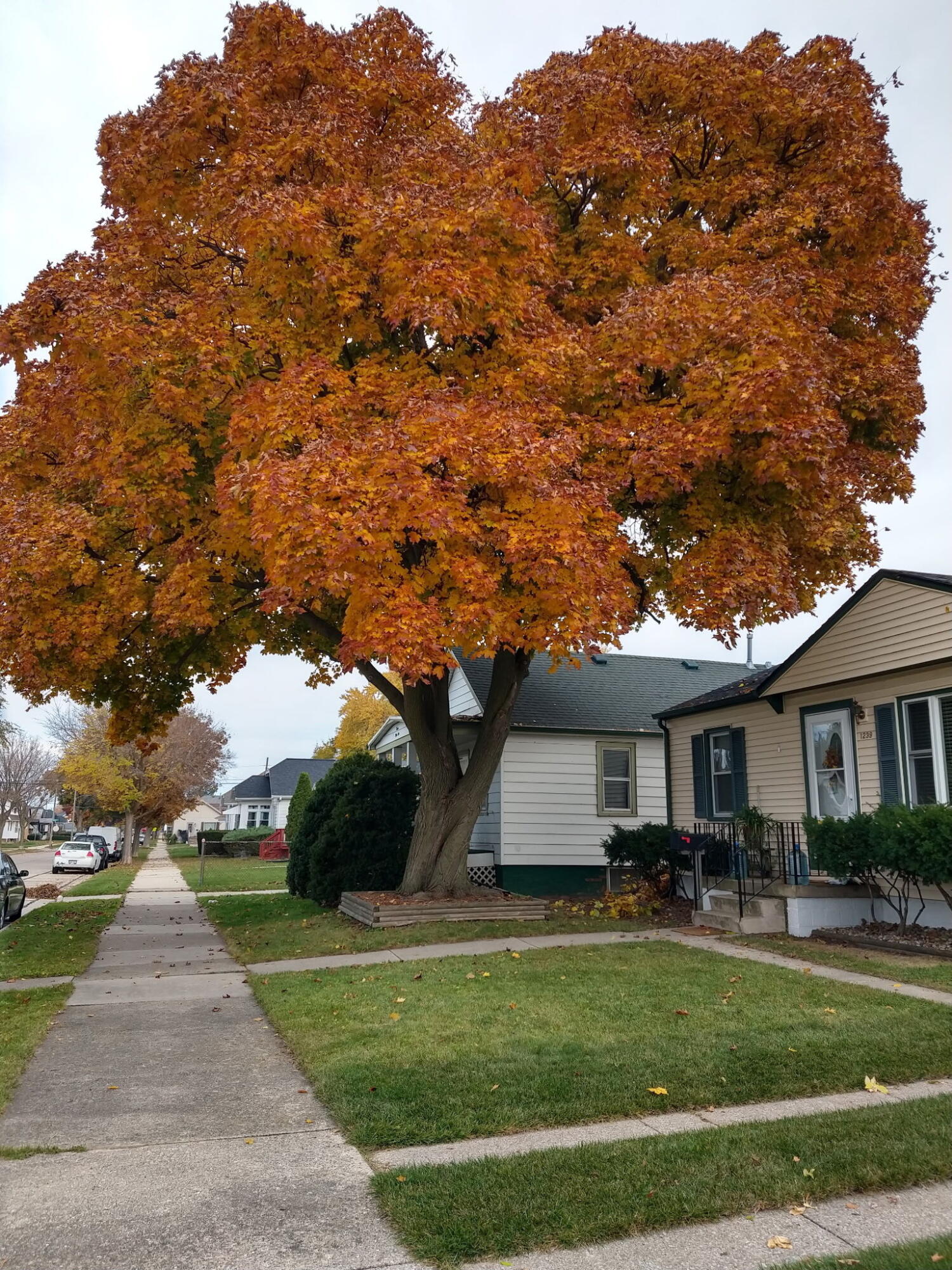 1239 Walton Ave, Racine