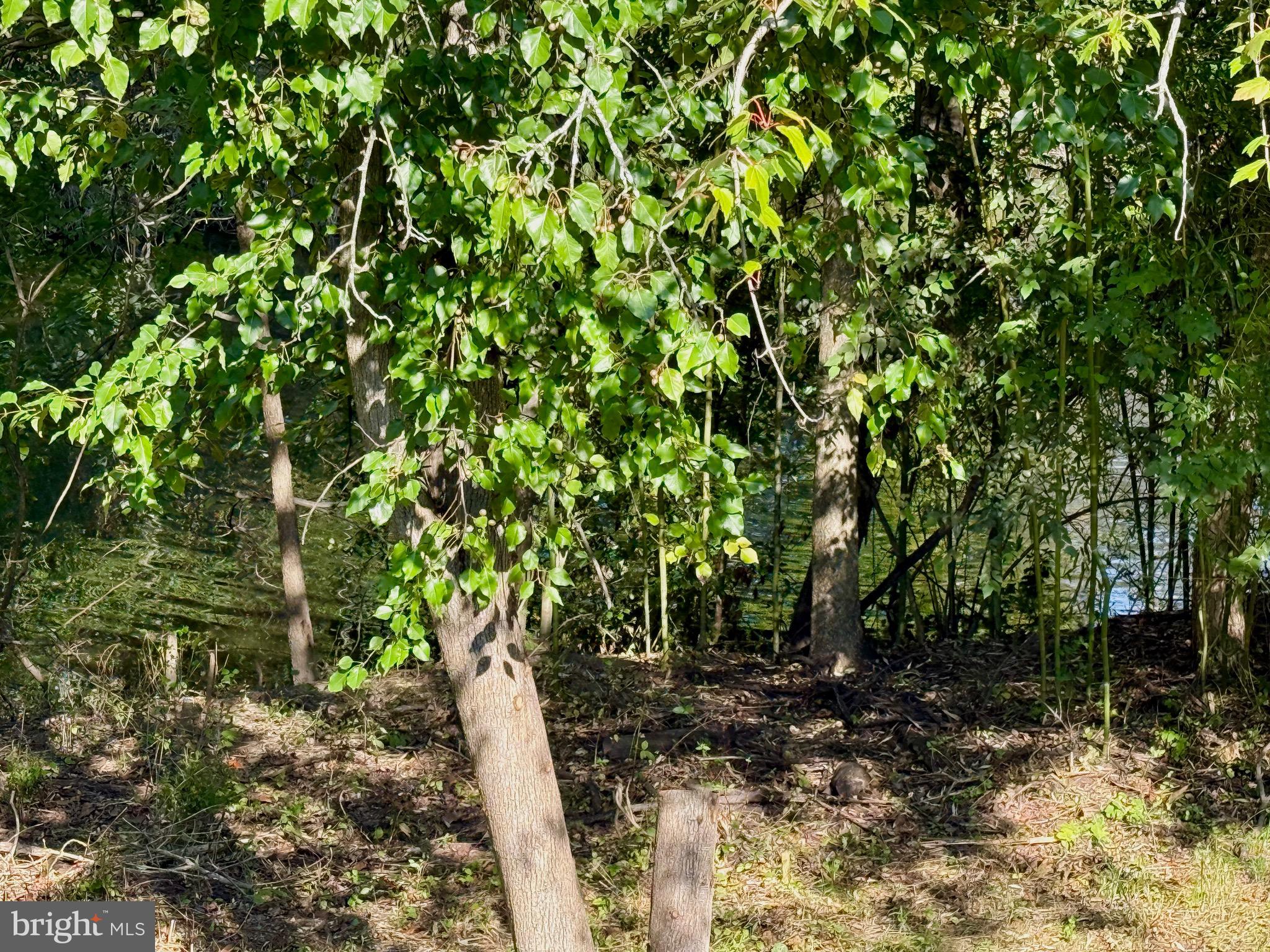 6321 SUMMERCREST DRIVE