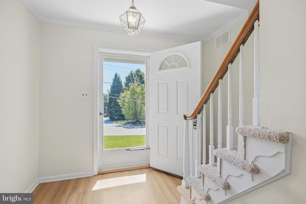 497 STEWART DRIVE