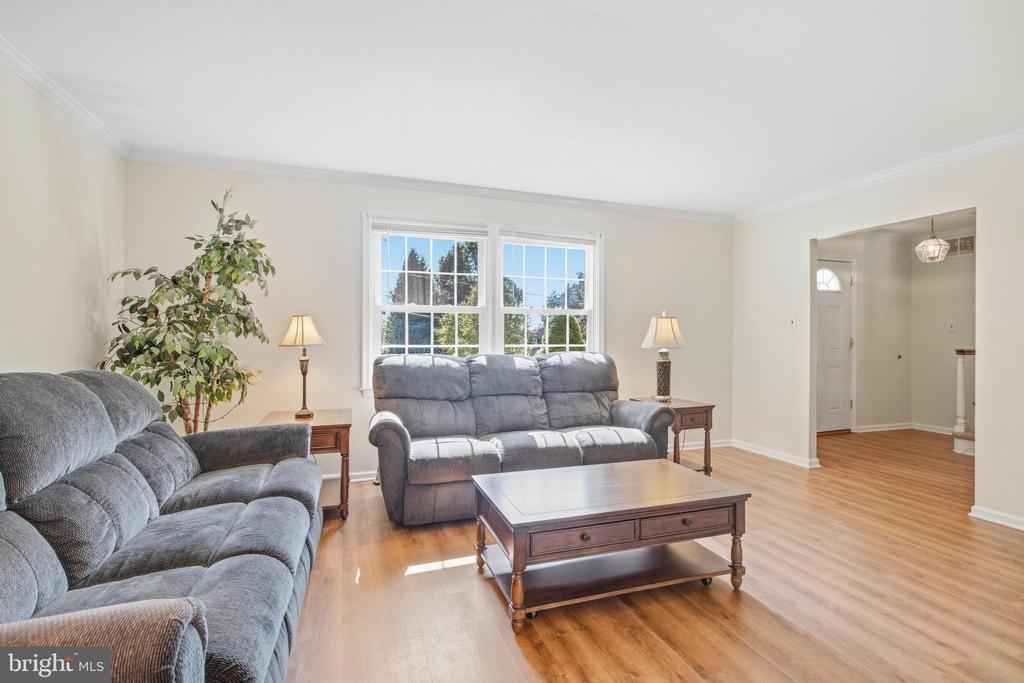 497 STEWART DRIVE