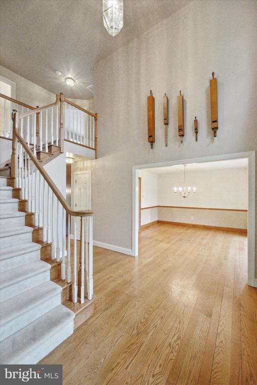 2041 SHEARER ROAD