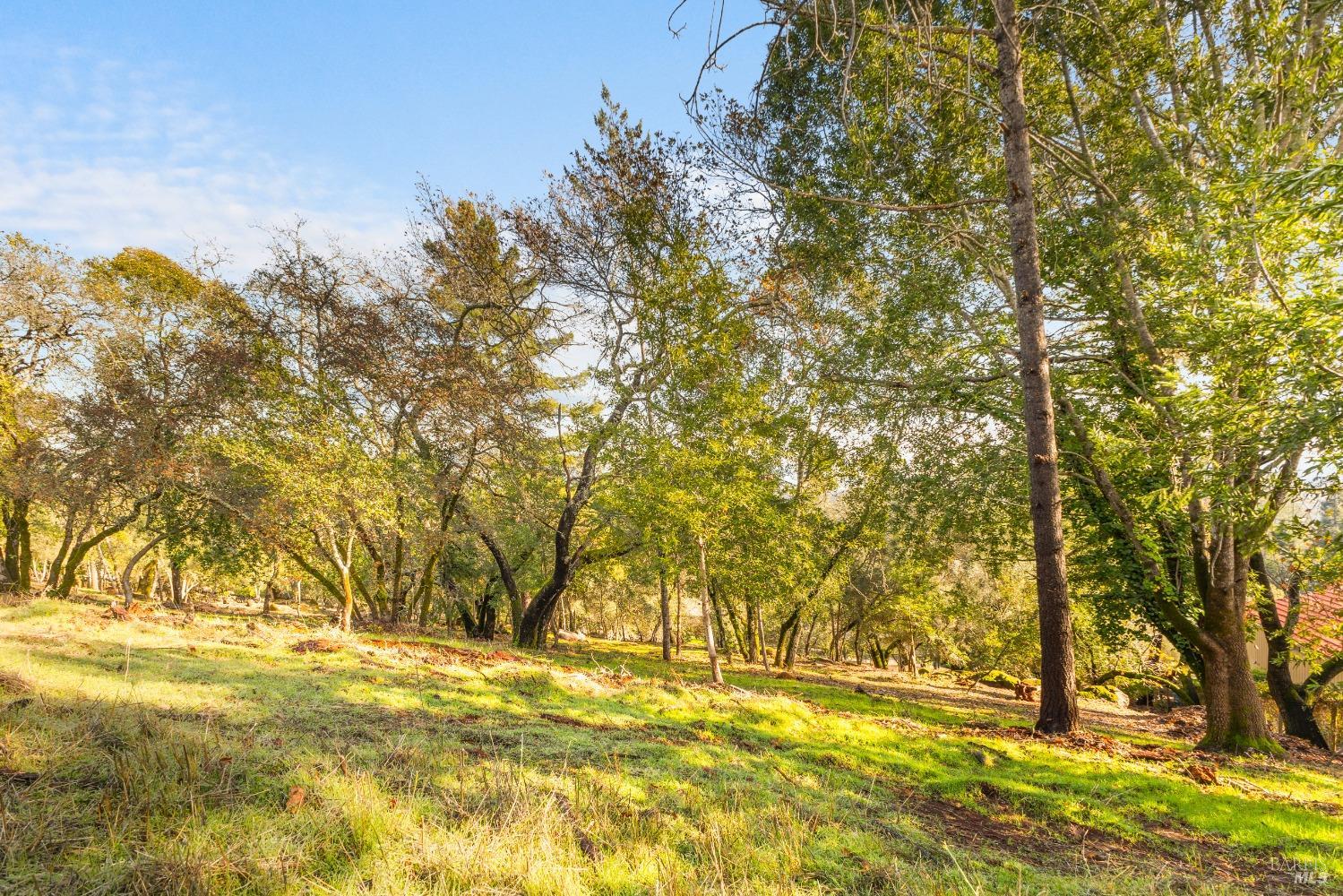 1499 Los Olivos Rd