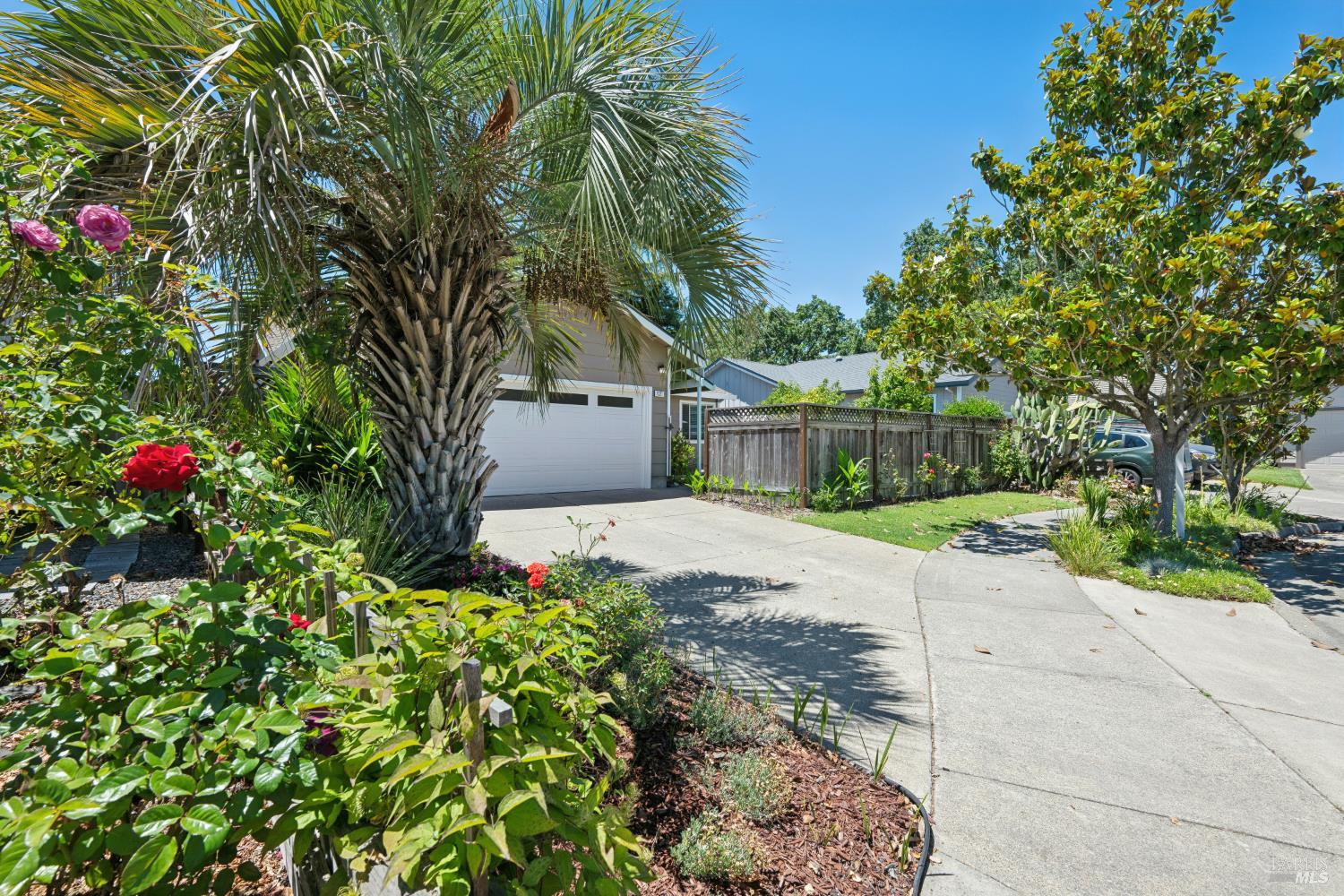 2321 Mandarin Lane