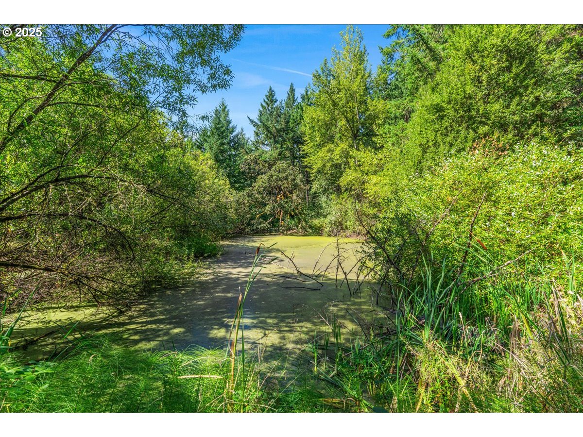 18175 NE BALD PEAK RD, Newberg