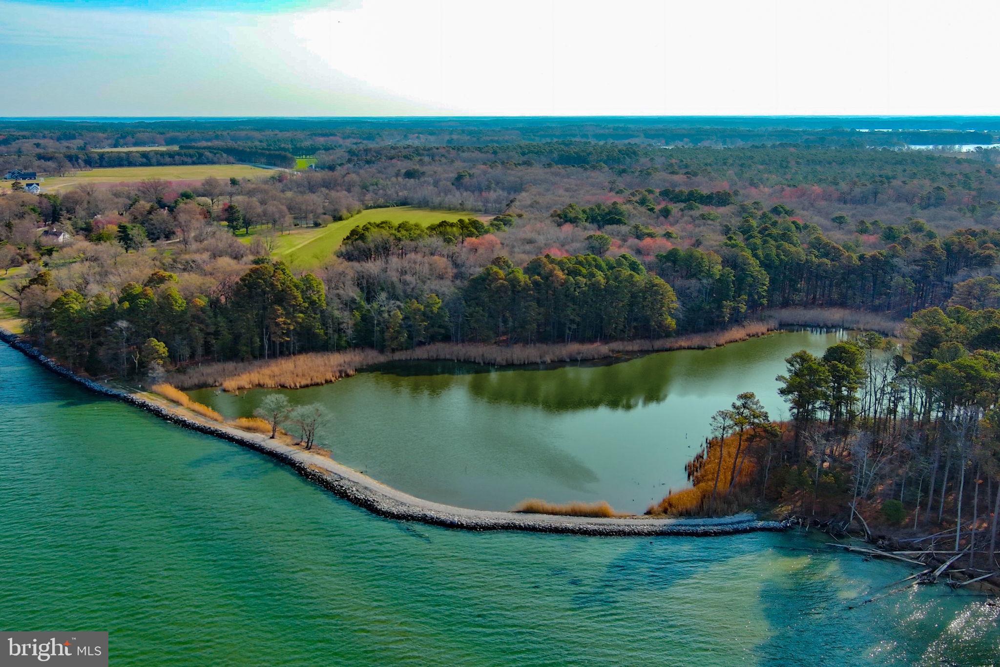 8612 TILGHMAN ISLAND ROAD