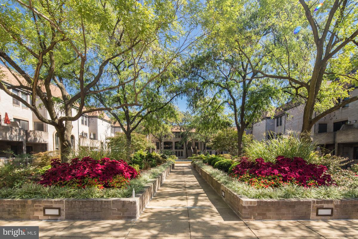 1325 13TH ST NW #305