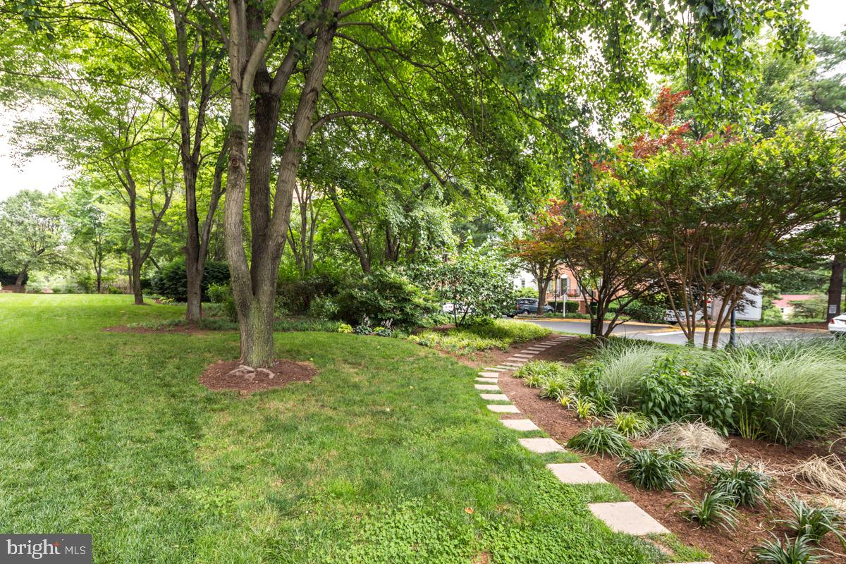 3101 NEW MEXICO AVENUE NW 205