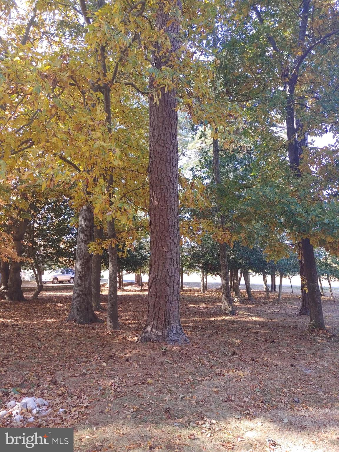 5 and 7 WOODLAND AVENUE