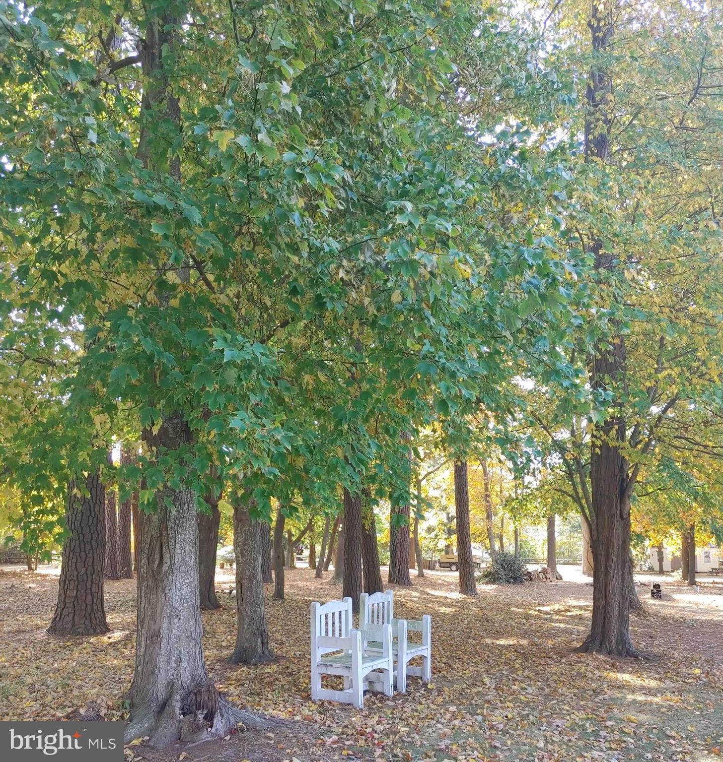 5 and 7 WOODLAND AVENUE