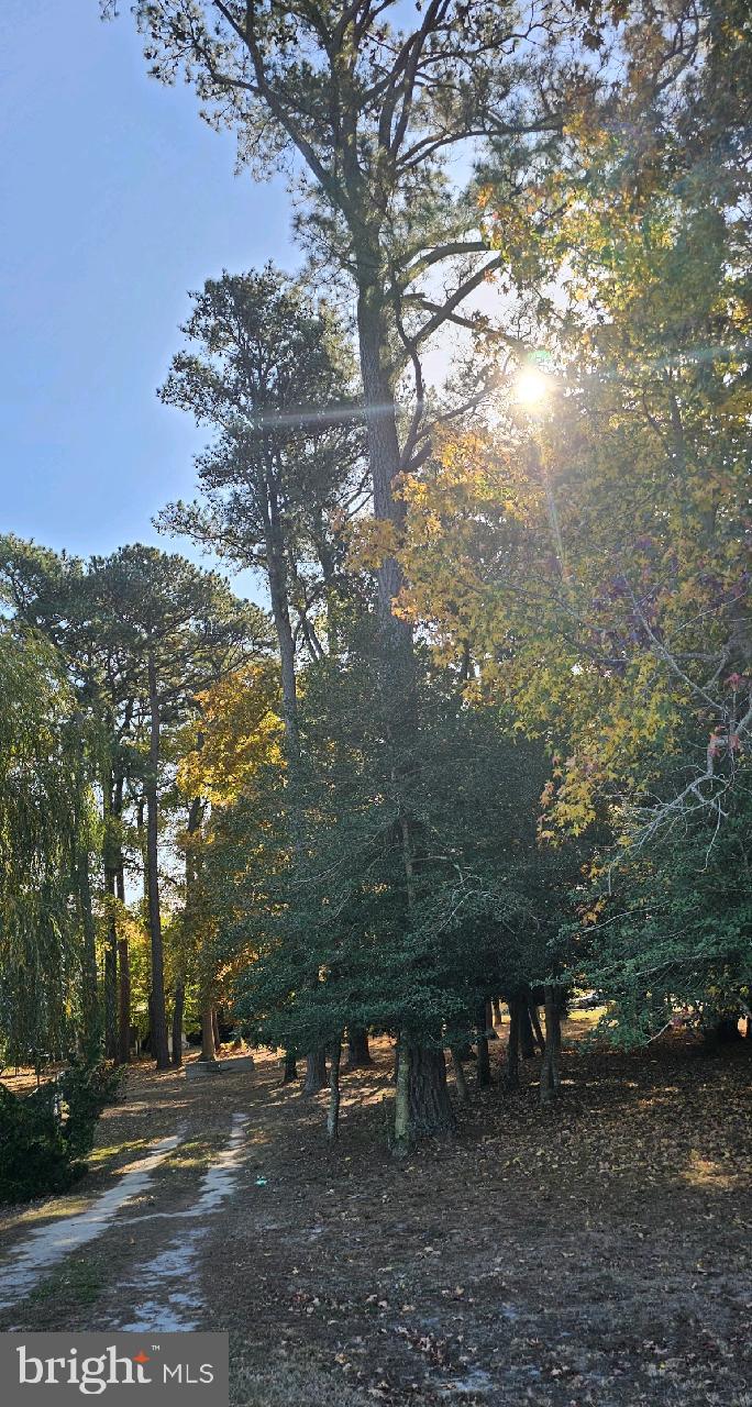 5 and 7 WOODLAND AVENUE