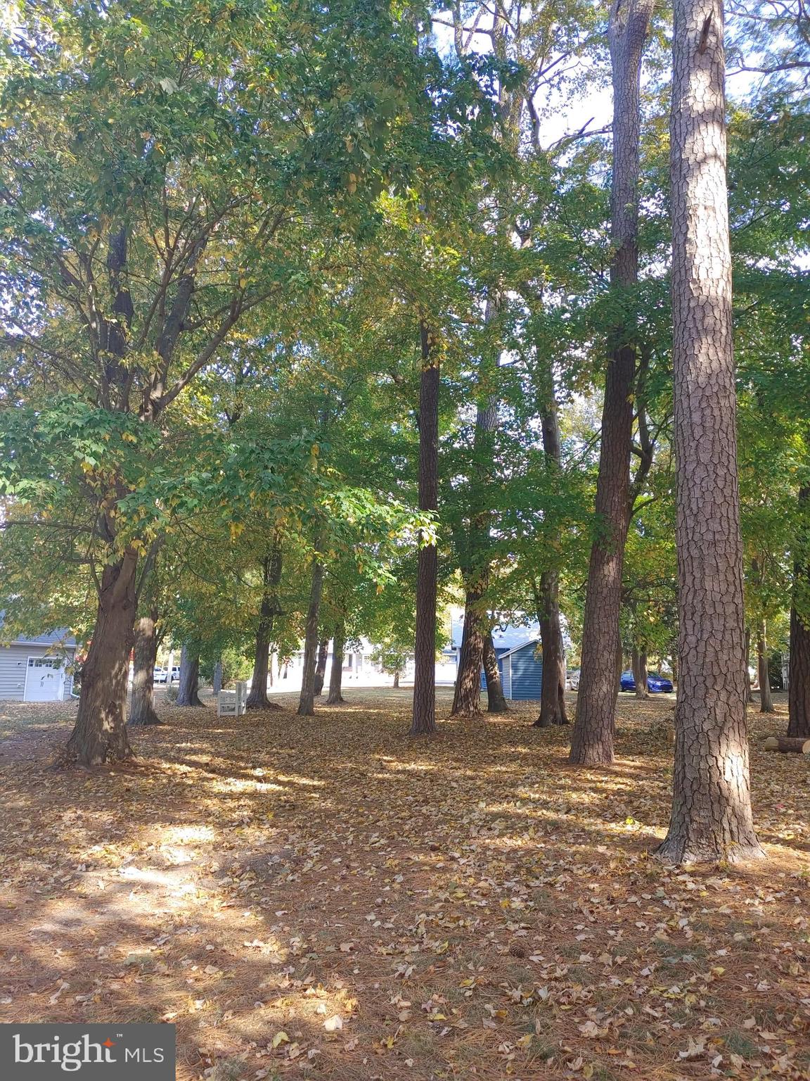 5 and 7 WOODLAND AVENUE