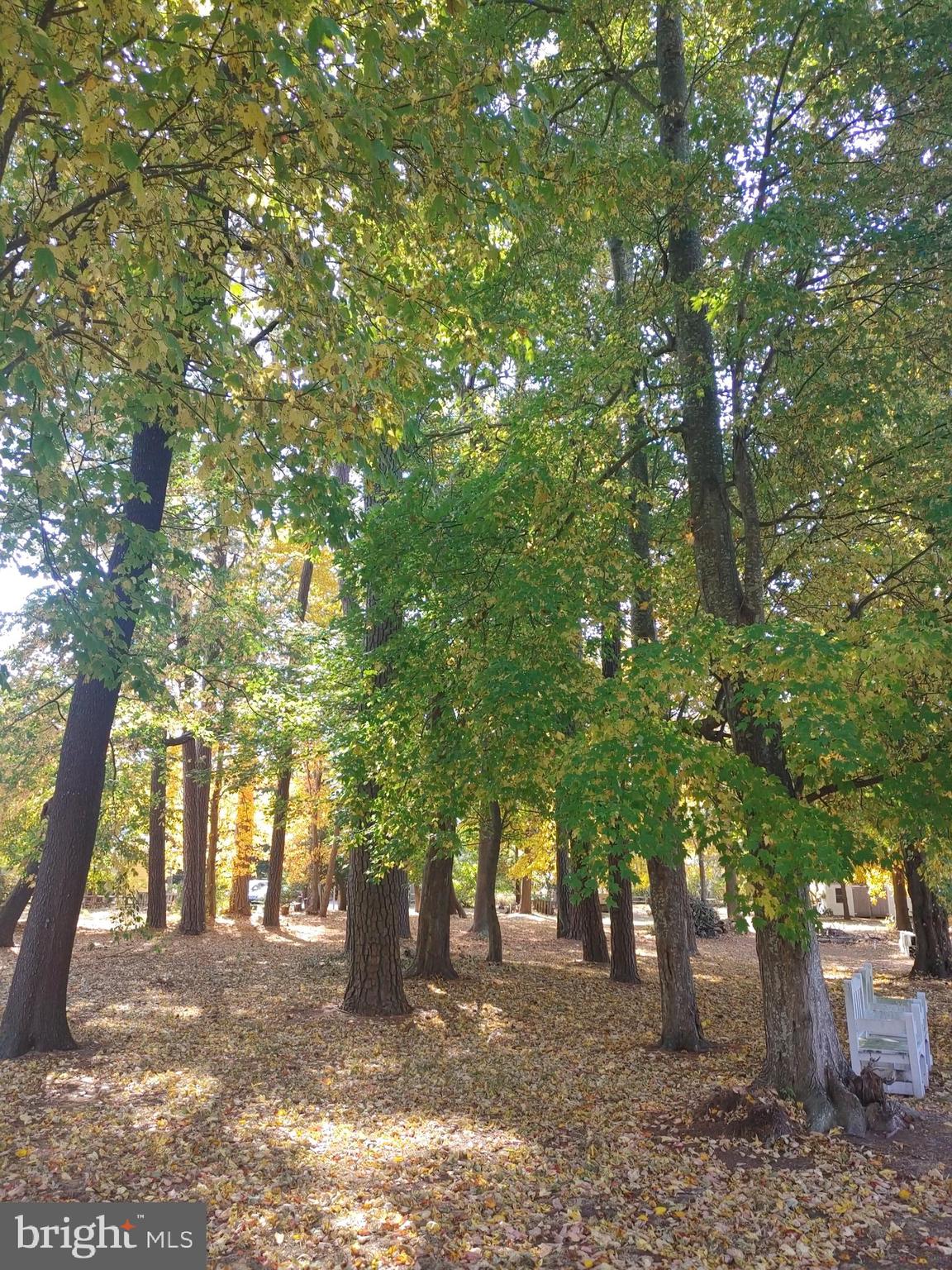 5 and 7 WOODLAND AVENUE