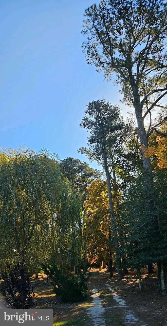 5 and 7 WOODLAND AVENUE