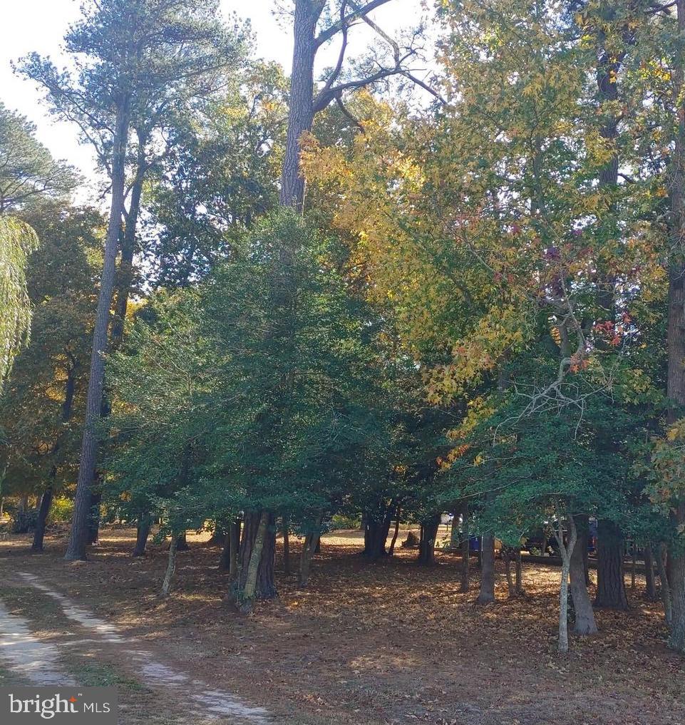 5 and 7 WOODLAND AVENUE