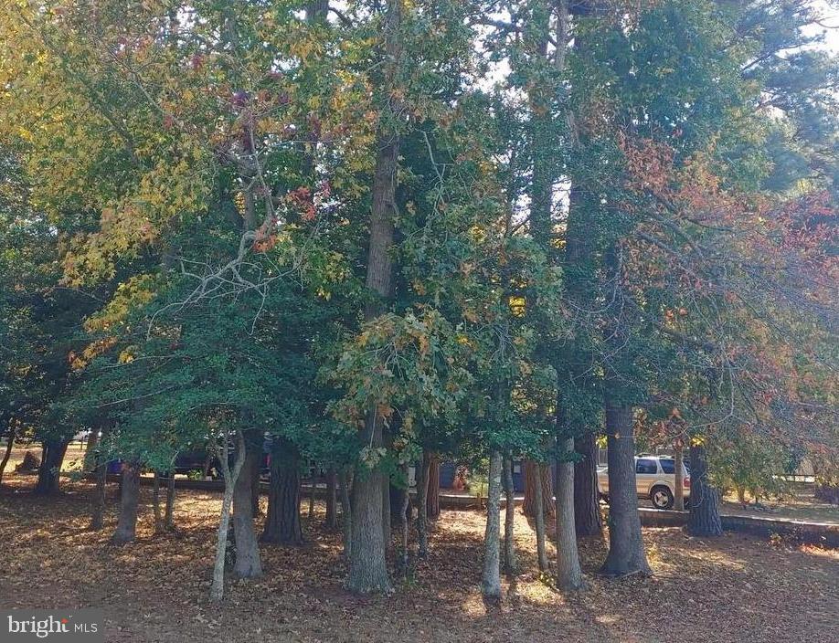 5 and 7 WOODLAND AVENUE