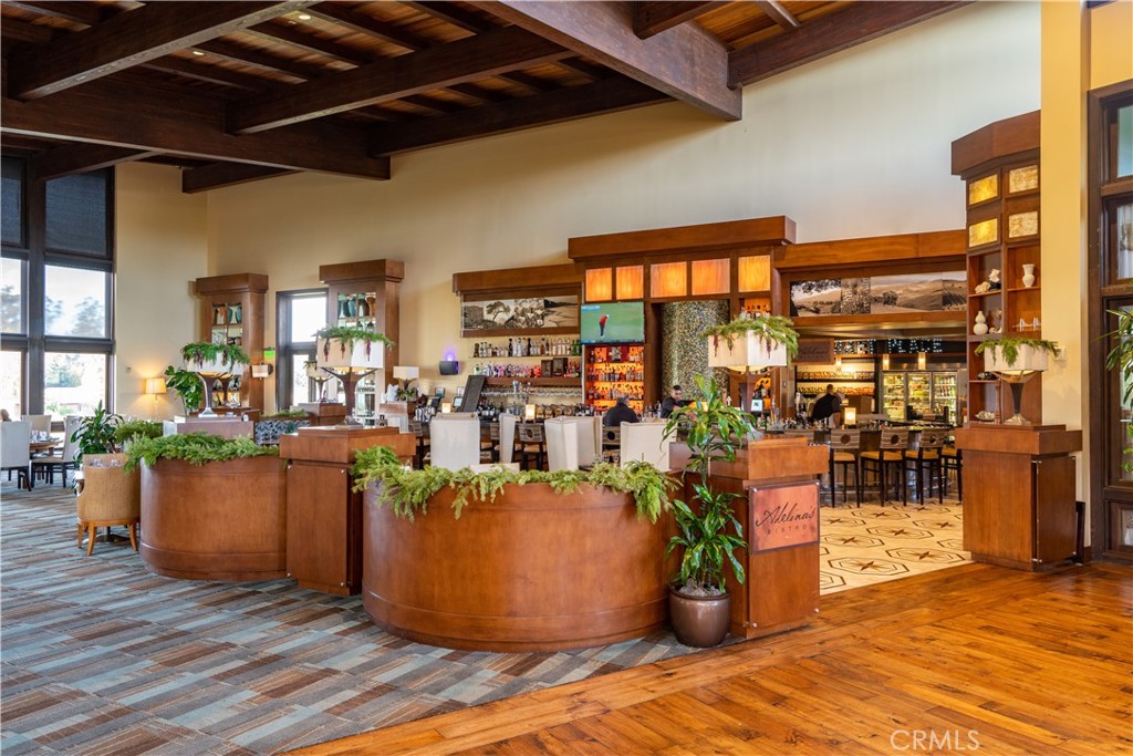 1170 Spring Azure Way 45