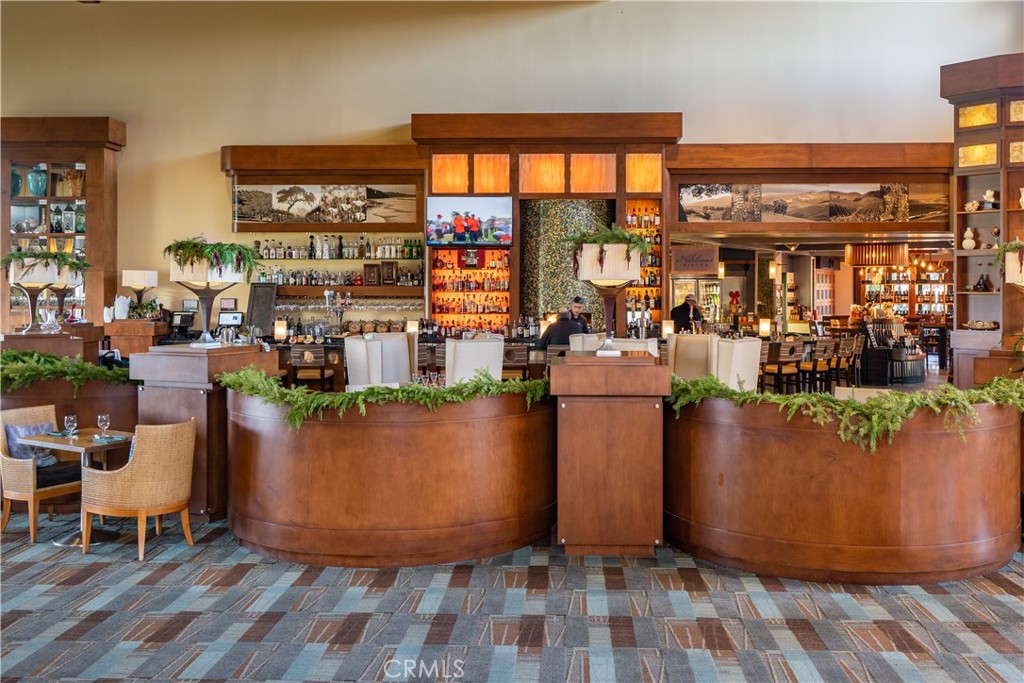 1170 Spring Azure Way 45